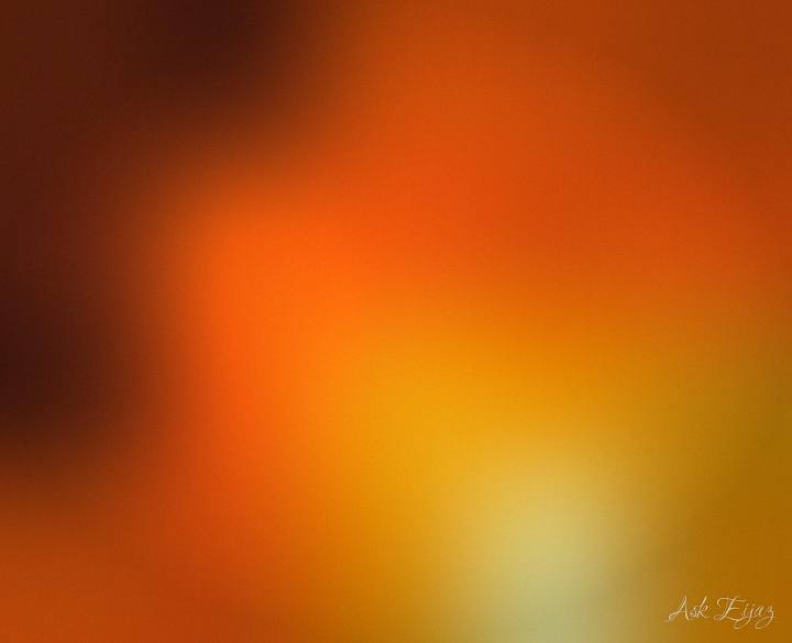 Ember — rust warming to amber