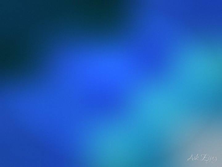 Harbor — deep blue meeting sky